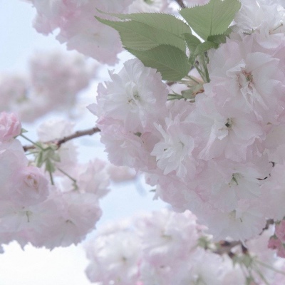 Furry绘画避坑指南福瑞交流群